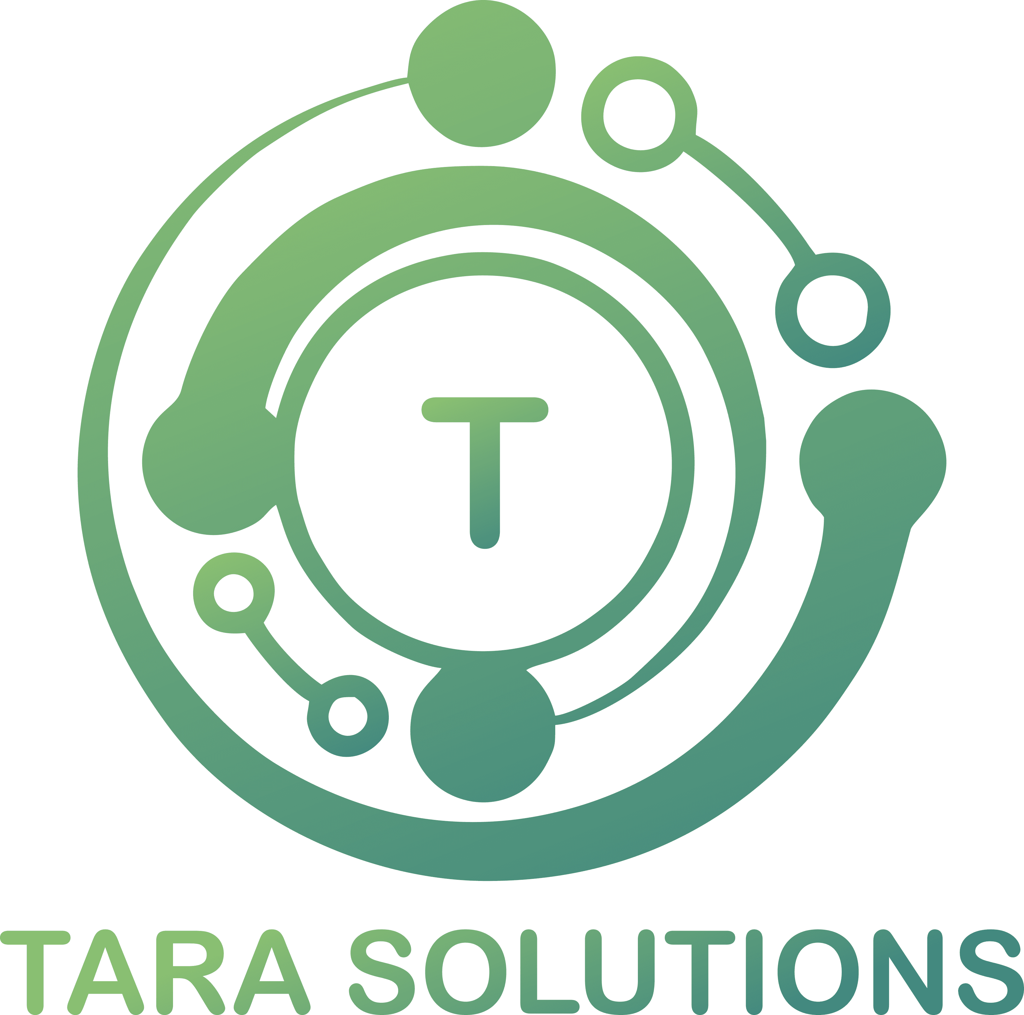 Tara Solutions Inc logo